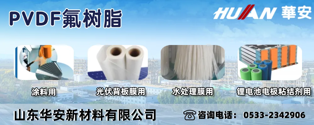 1740986975269.jpg 1740986975269.jpg